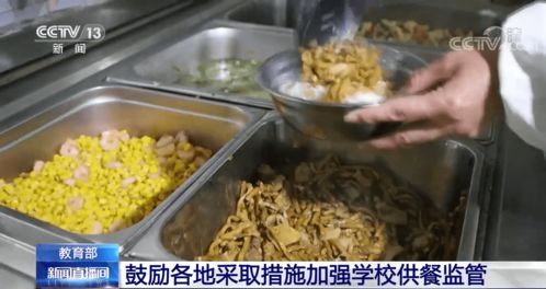筑牢校園飲食安全網 教育部推動加強供餐監(jiān)管，守護學生健康底線